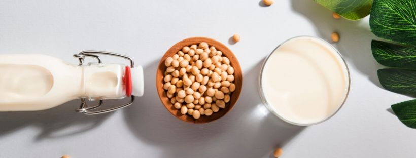 Blog 049 警告 豆乳は危険 オーガスト